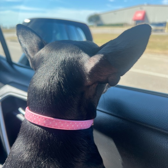 Meet your Posher, - Picture 12 of 16